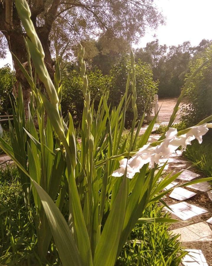 Villa Ladina Lygia  Buitenkant foto