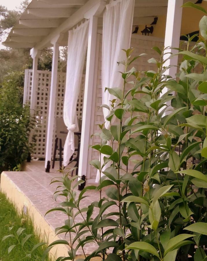 Villa Ladina Lygia  Buitenkant foto
